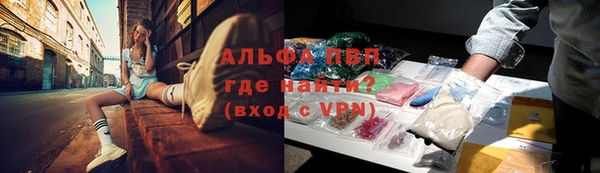 PSILOCYBIN Саяногорск
