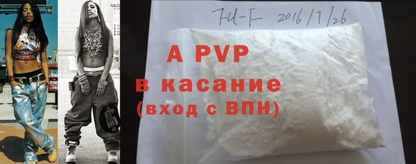 винт Пересвет