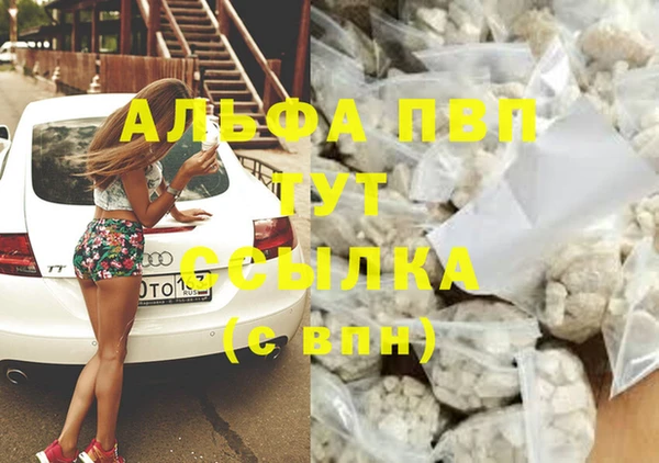 винт Пересвет