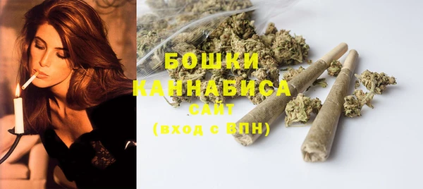PSILOCYBIN Саяногорск