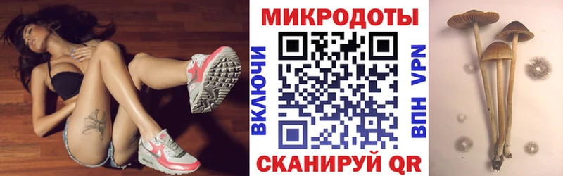 Галлюциногенные грибы Psilocybe  закладки  OMG ONION  Ак-Довурак 